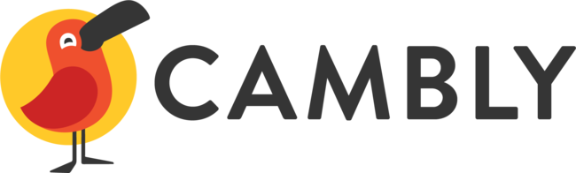 【ネイティブ講師とオンライン英会話 CAMBLY】新しい年に向けて英会話で自分磨き！5日間限定セールで最大45%オフのサブ画像2