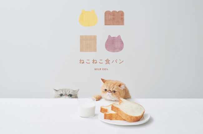 【1年に1度の
