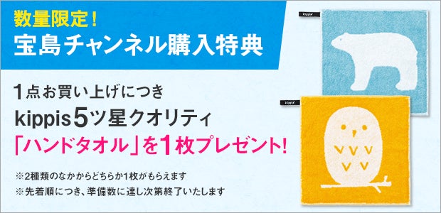［kippis（キッピス）初セール］医師とタオル職人が考えたマスクが30%オフ！｜宝島チャンネルのサブ画像2