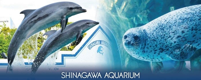 【コラボ 第2弾 】 しながわ水族館 × アトレ大森　イベント盛りだくさんの夏！のサブ画像1