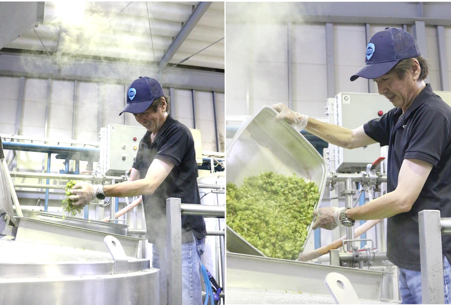 サンクトガーレン、とれたてホップ仕込みビール「フレッシュホップIPA」を2022年9月8日より限定発売。今夏、ホップ豊作でビールにも過去最高量を使用のサブ画像7_マッシュホップを行うサンクトガーレン岩本