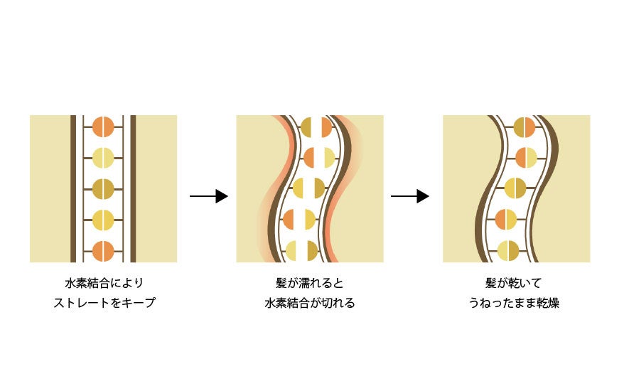 毎日の寝癖なおしを時短で簡単に。髪も頭皮も傷まないヘアアイロン「ストレートブラシアイロン」のサブ画像2_寝癖のできる仕組み
