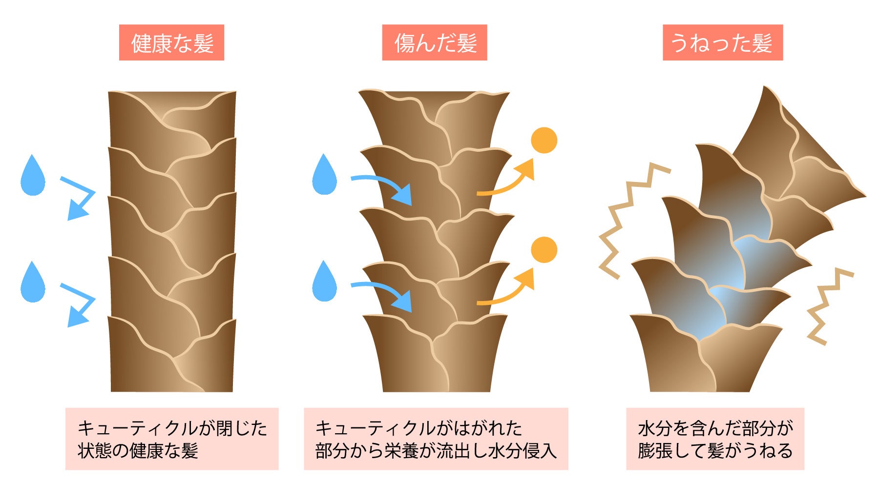 髪のパサつきは改善できる？　ダメージや乾燥の原因と正しいヘアケア方法がわかれば毛先までまとまるツヤ髪にのサブ画像2