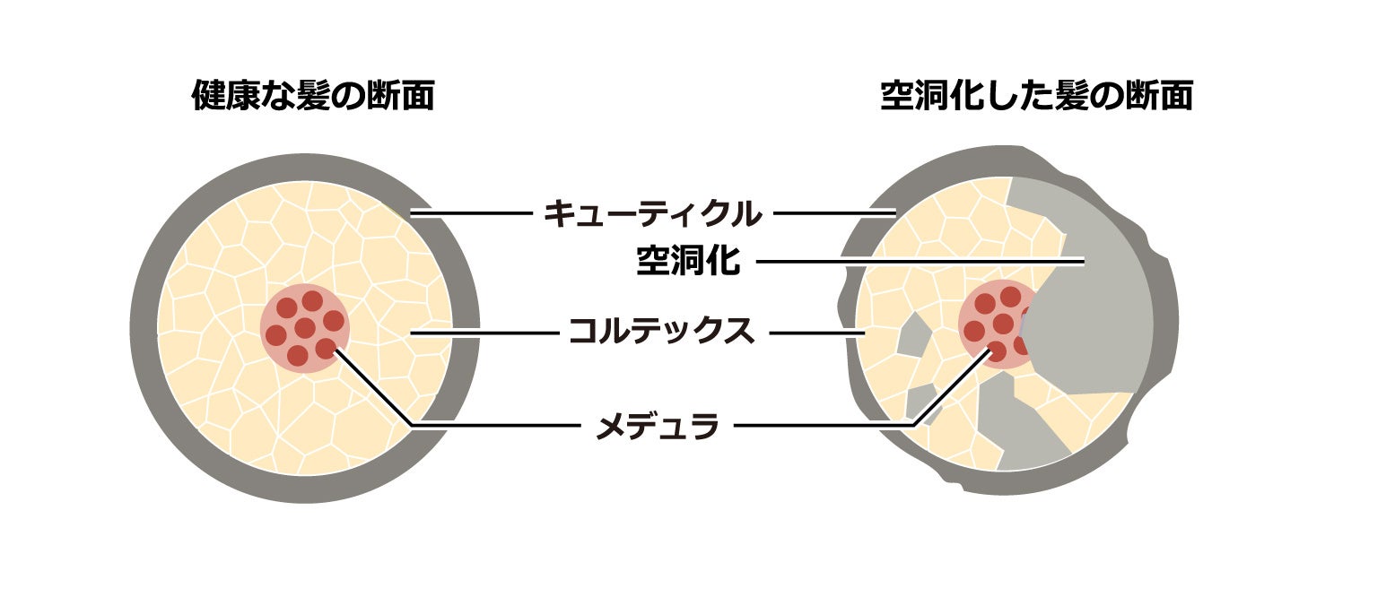 髪のパサつきは改善できる？　ダメージや乾燥の原因と正しいヘアケア方法がわかれば毛先までまとまるツヤ髪にのサブ画像3