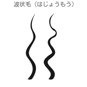ひどいうねり、縮れ毛、くねくね前髪の方必見！　自宅でできるくせ毛のケアにおすすめのアイテムをご紹介のサブ画像3