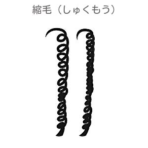 ひどいうねり、縮れ毛、くねくね前髪の方必見！　自宅でできるくせ毛のケアにおすすめのアイテムをご紹介のサブ画像5