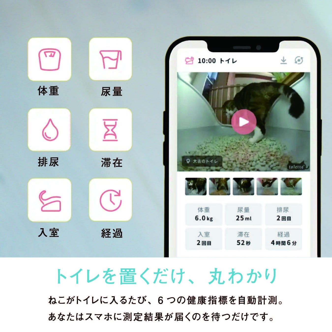 【楽天スーパーSALE 】カメラつきねこトイレ『トレッタ』今年最大50%OFF＋限定500円クーポンの大幅値引きセールを開催中のサブ画像3