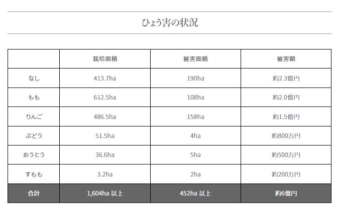 福島市×ふくしま市場 「ひょう害りんご食べて応援」キャンペーン開催中のサブ画像4
