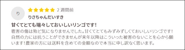 福島市×ふくしま市場 「ひょう害りんご食べて応援」キャンペーン開催中のサブ画像8