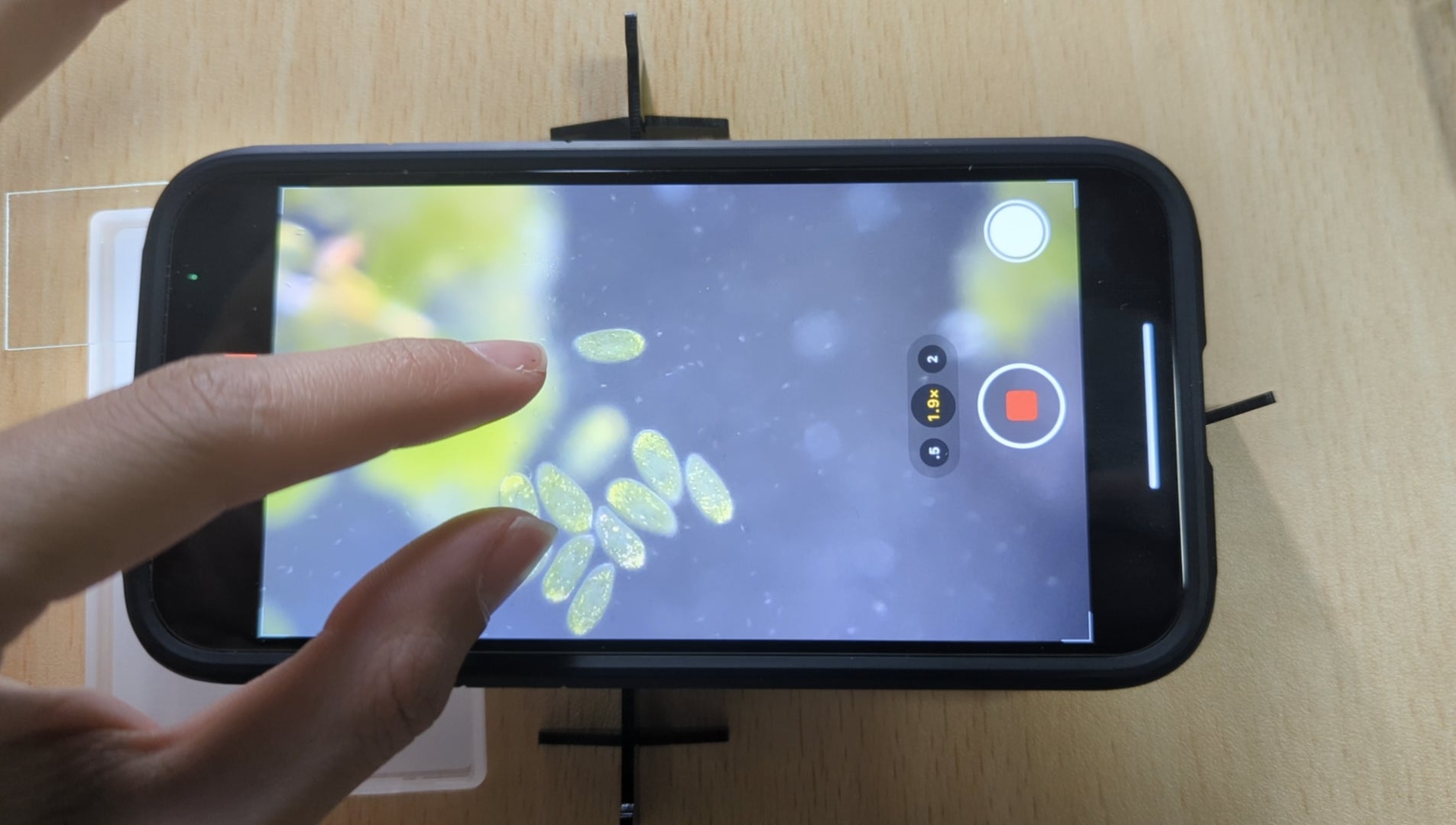 どんなスマホも顕微鏡になる！？ニュースでも話題のレンズ 【予約販売開始】のサブ画像7