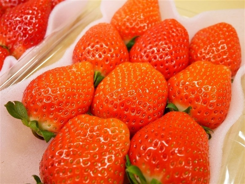 「紅はるかの干し芋」、「糖度９度以上のフルーツトマト」など茨城県の“いいもの”１５０商品以上が２０％ＯＦＦ！産地直販サイト「ＪＡタウン」のショップ「いいものいっぱい広場」で年度末大決算セール開催中！のサブ画像3