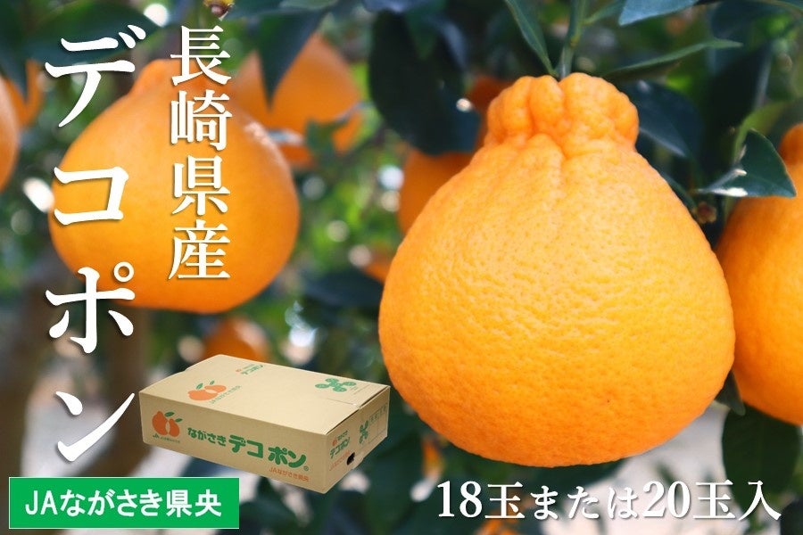 産地直販サイト「ＪＡタウン」のショップ「もぐもぐながさき」で年度末大決算セール開催中！のサブ画像2