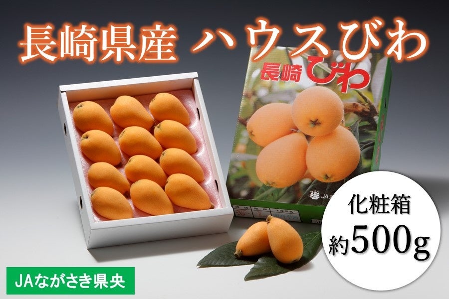 産地直販サイト「ＪＡタウン」のショップ「もぐもぐながさき」で年度末大決算セール開催中！のサブ画像3