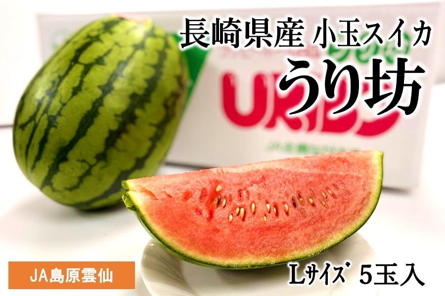 産地直販サイト「ＪＡタウン」のショップ「もぐもぐながさき」で年度末大決算セール開催中！のサブ画像4