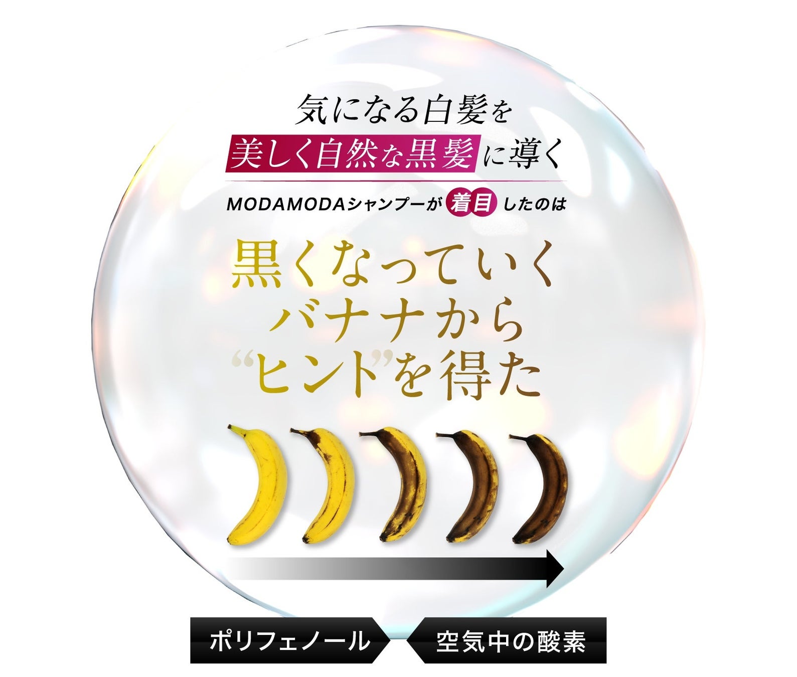 【Amazon出店記念】白髪が染まる世界初のシャンプーMODAMODA（モダモダ）をお得に購入できる数量限定クーポンをプレゼント中！のサブ画像4