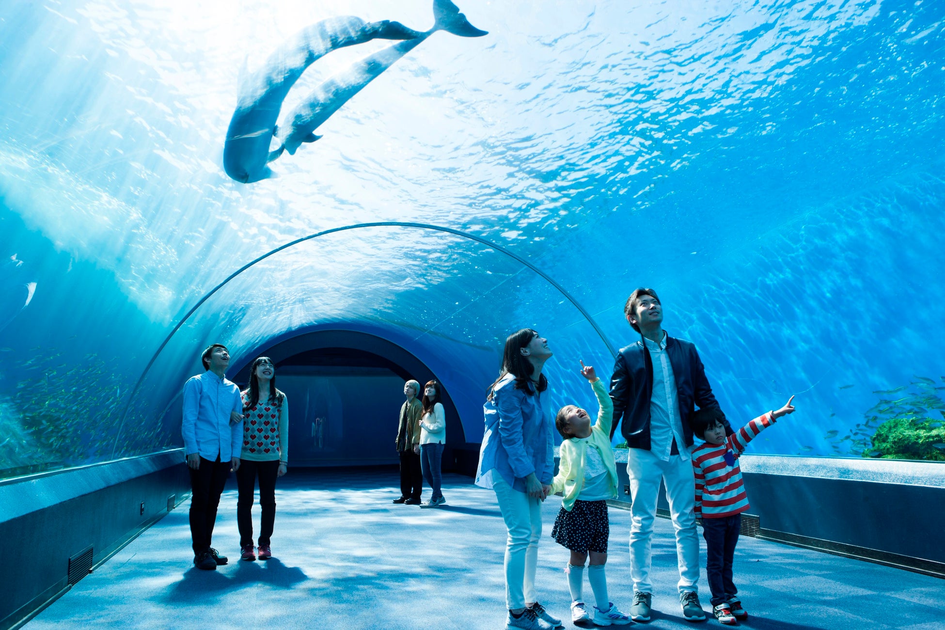 「Bayside 3rd Anniversary」開催のサブ画像8_※画像はイメージです。