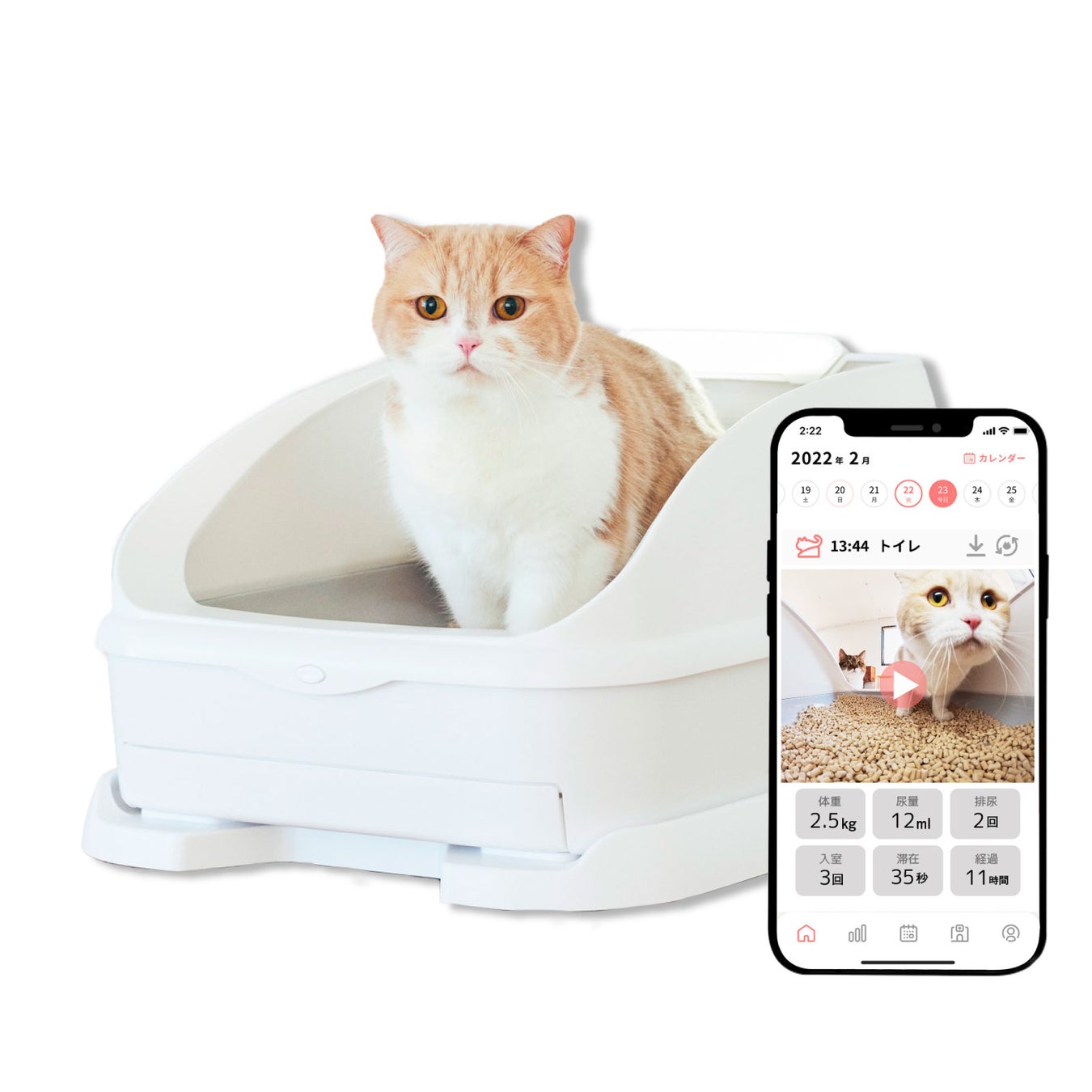 Amazon『⽇本の中⼩企業応援セール』の「作り⼿のストーリー」にトレッタキャッツが登場！のサブ画像3
