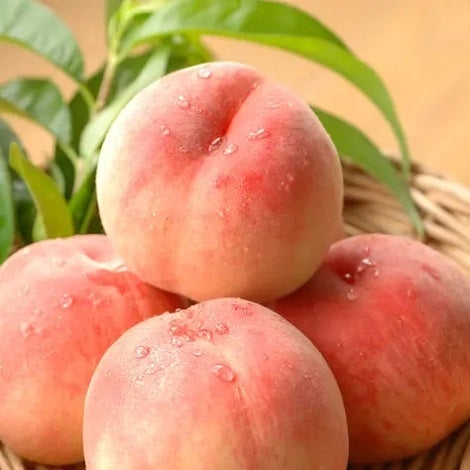 物価高でも良いものをお得に！まとめ買いがお得な1週間の特別セール「アウルの日」6/26～7/2開催のサブ画像3