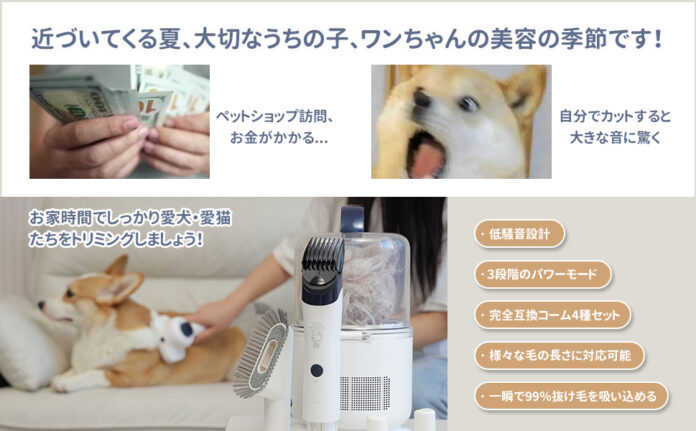 【Amazonプライムデー・プレビュー】LYSOR夏の超ビッグセール開催中！犬猫ケアの新製品P50が最大52％オフのメイン画像