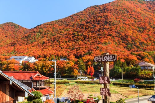 秋の丹波篠山で器と食を楽しむ「丹波焼陶器まつり　秋の郷めぐり」開催のサブ画像2