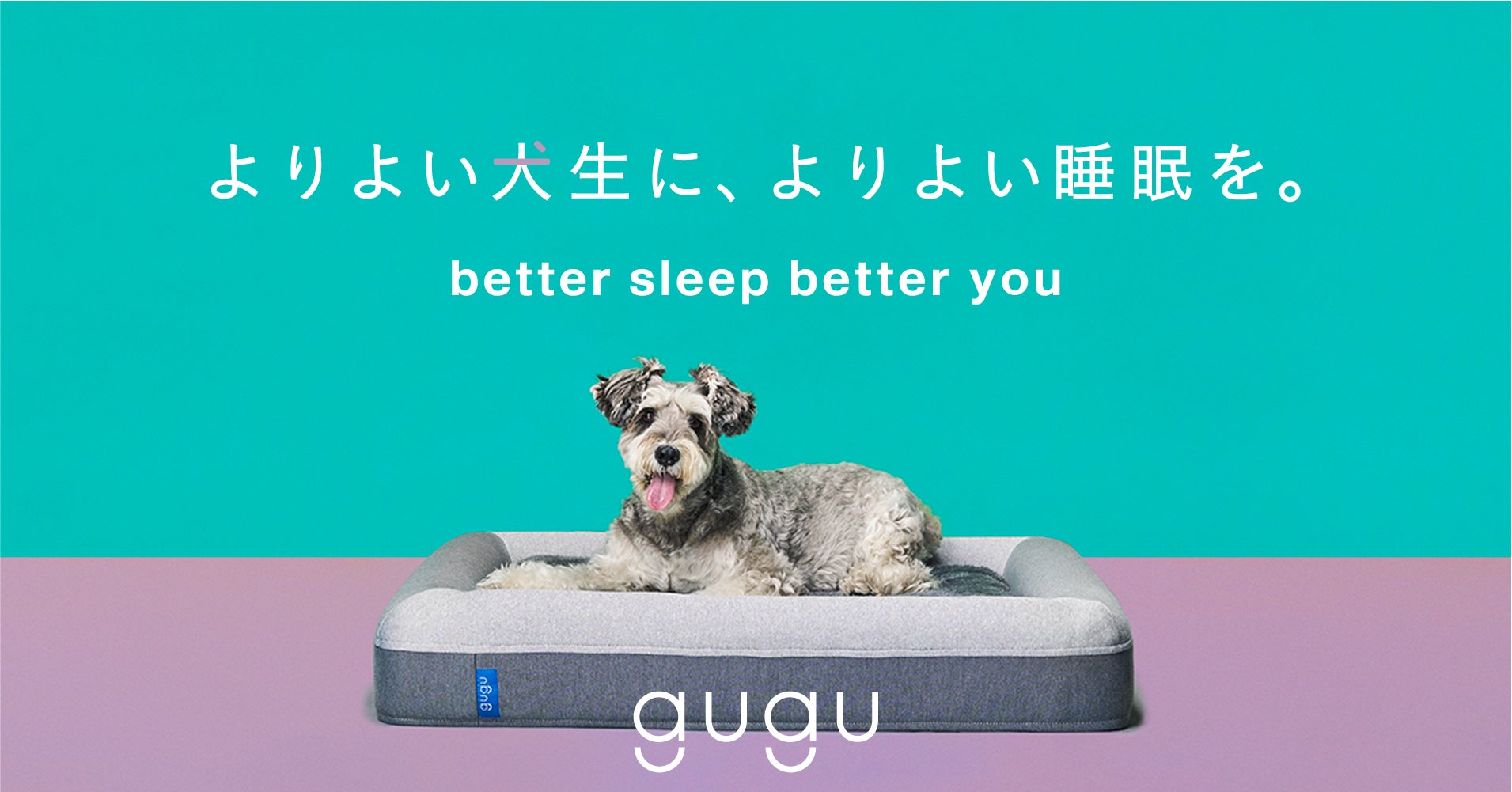 『よりよい人生に、よりよい睡眠を』gugu sleep、創業5周年を記念してセールを開催 のサブ画像5