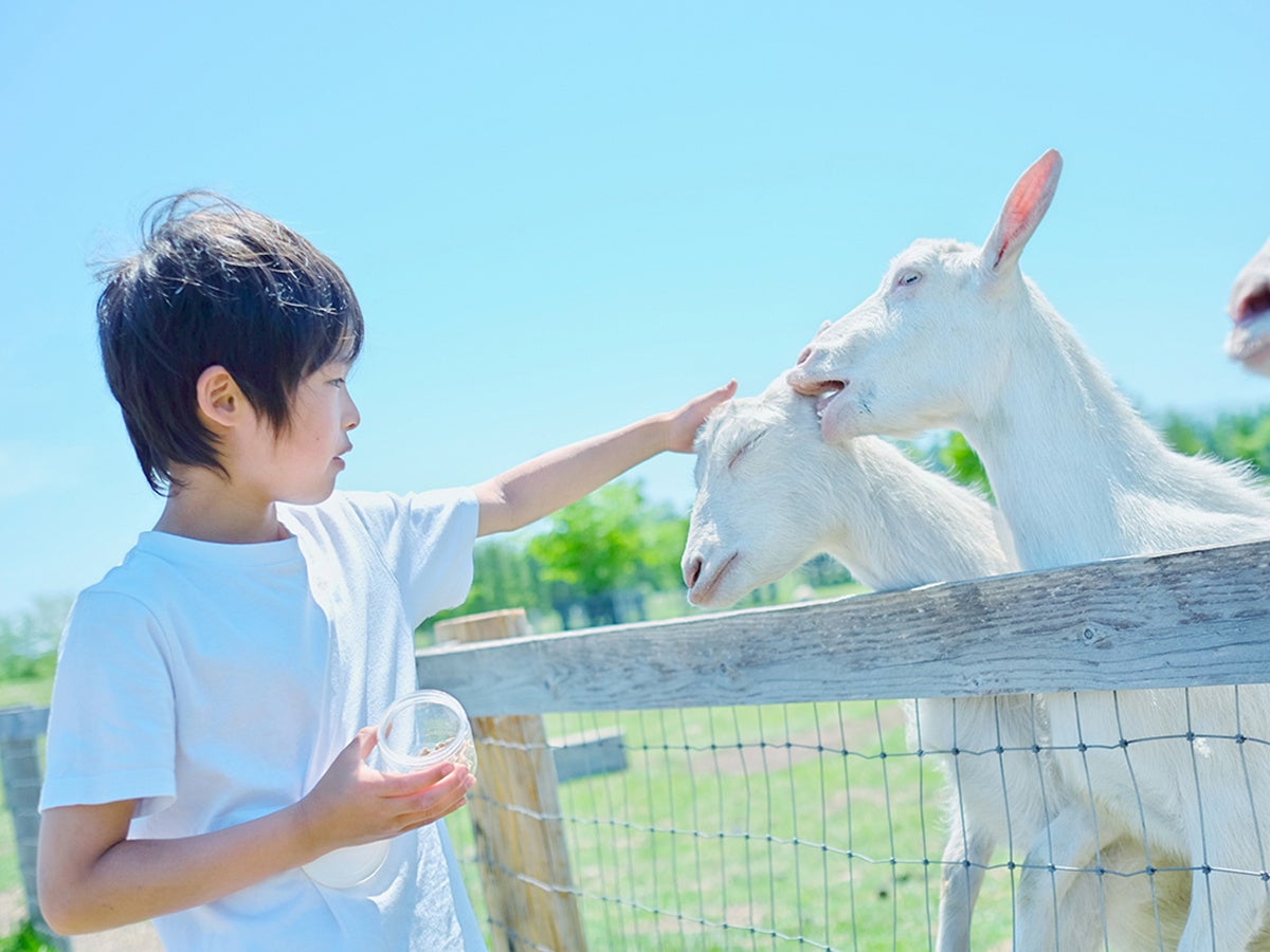【プライムSALEを開催中】夏からスタートの新ビュッフェと無料ラウンジが人気！秋の宿泊予約は今がお得です。のサブ画像9