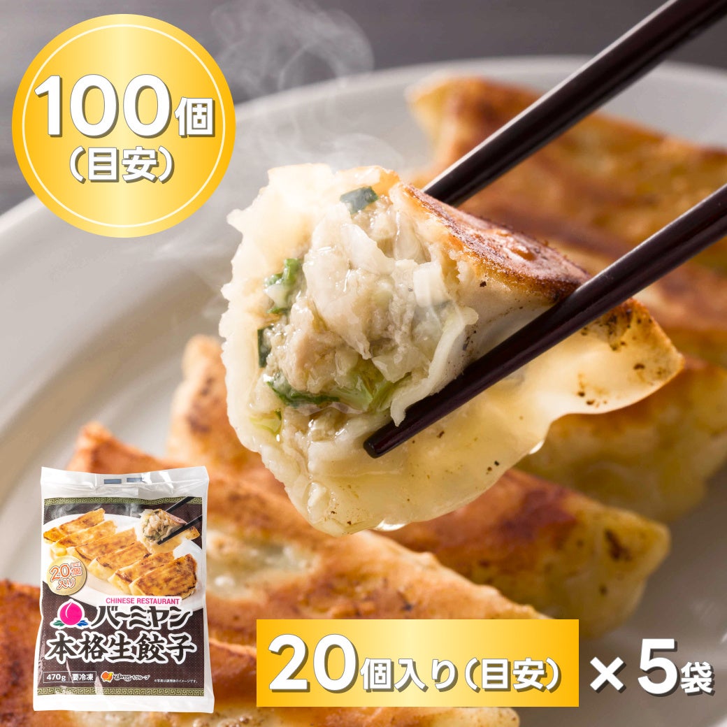 ガストなど3ブランドでYahoo!ショッピング・auPAYマーケット 開店記念セール開催！すかいらーくの冷凍食品が最大半額！送料も無料のサブ画像2