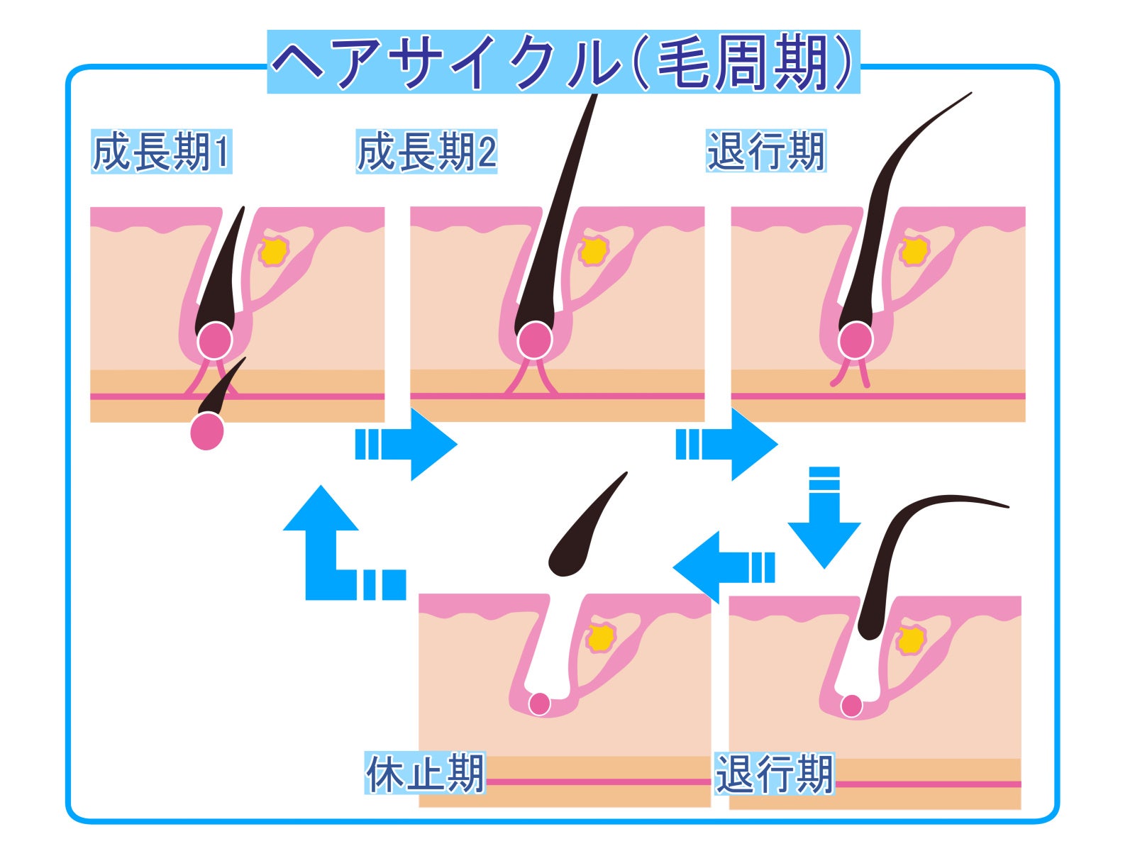 抜け毛リスクが高まる秋こそドライヤーやヘアアイロンで簡単ボリュームアップ!のサブ画像2