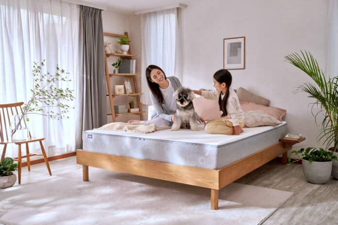 最大20％OFFになる「コアラブラックフライデーセール」2023年11月20日（月）～11月27日（月）まで開催のメイン画像