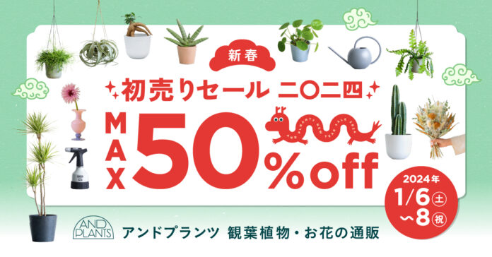 観葉植物やドライフラワーが最大50%OFF！AND PLANTS「新春初売りセール2024」を1月6日（土）より開催のメイン画像
