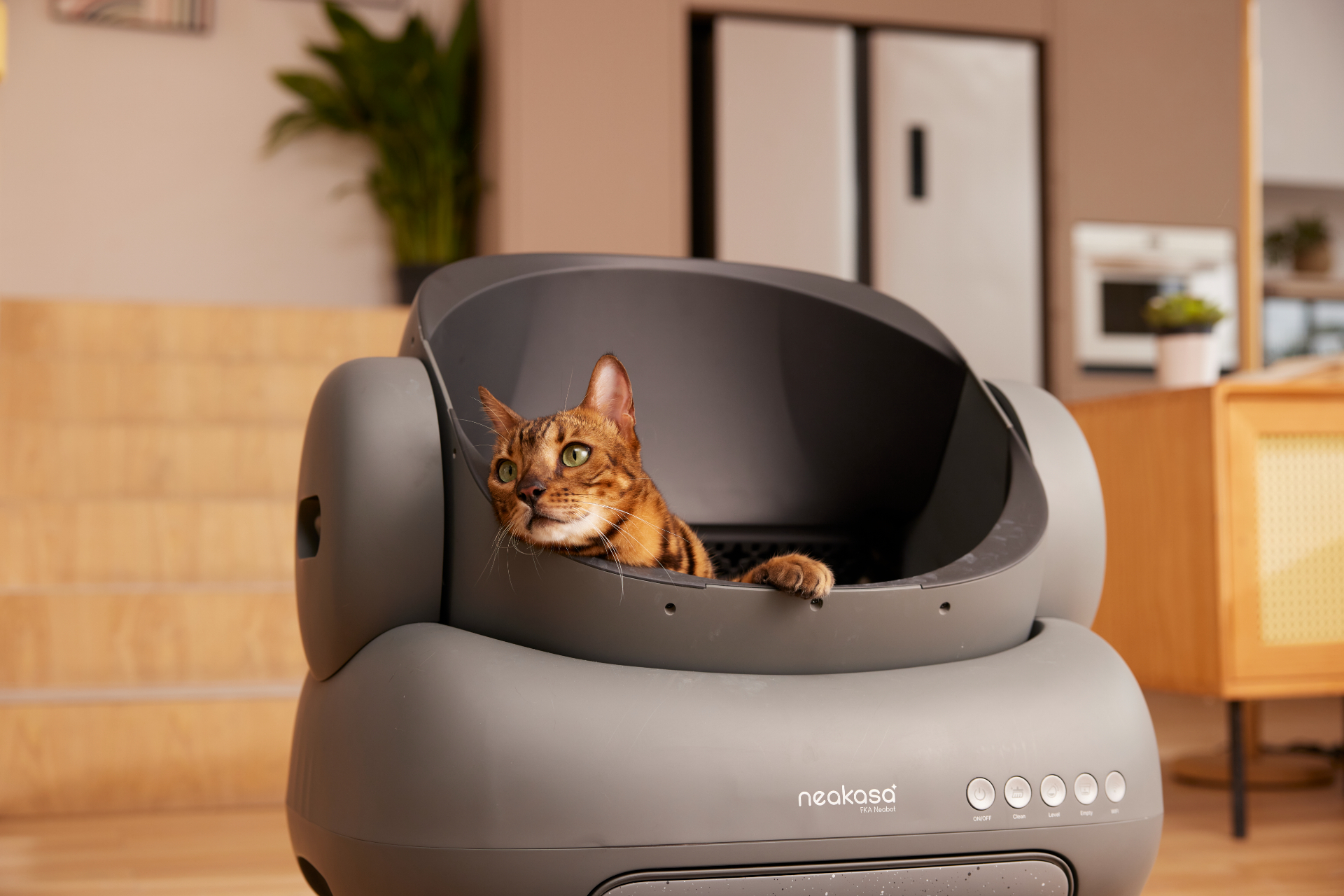 猫トイレ掃除から解放！Neakasa（ネアカサ）全自動猫トイレM1が発売開始のサブ画像3