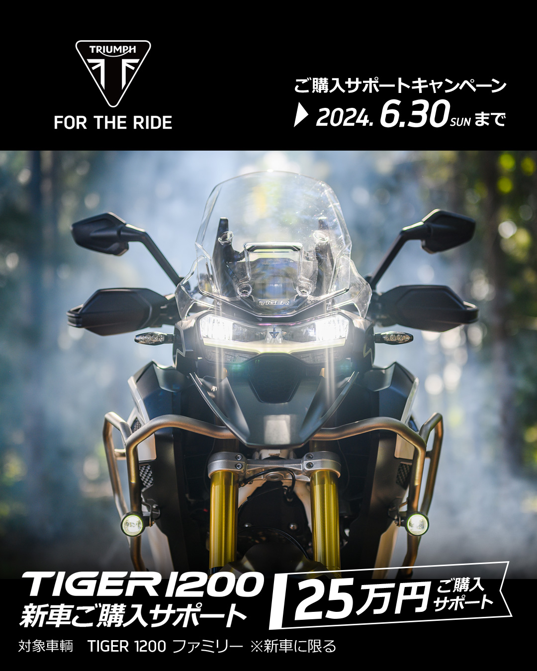 トライアンフから春のご購入サポートキャンペーンに「追加キャンペーンが登場！」のお知らせのサブ画像5