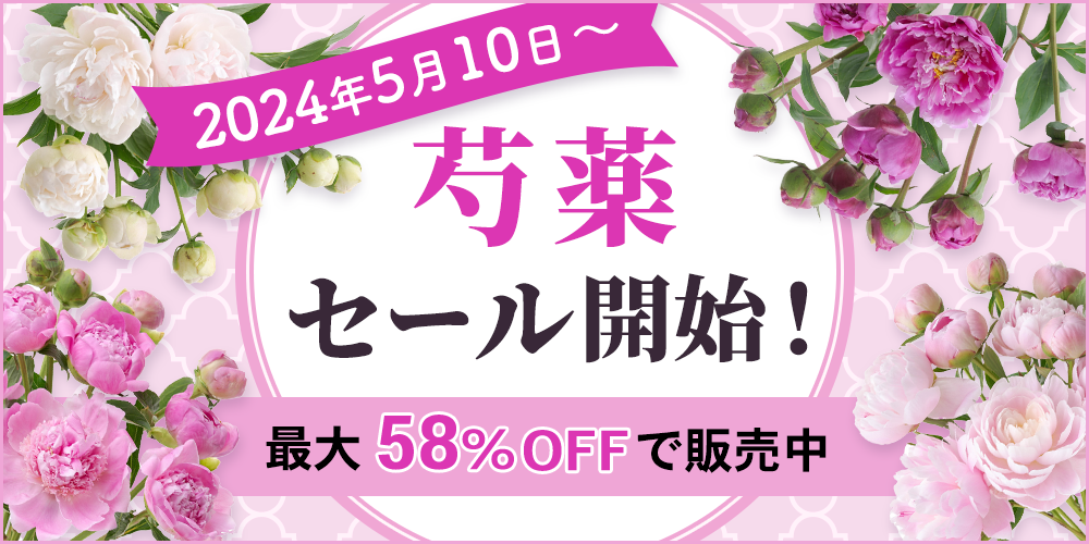 「芍薬」セールを2024年5月10日～開始！最大58％OFF｜花の卸通販フラワースミスマーケットのサブ画像1