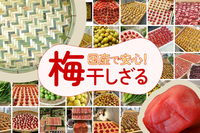 10％OFF＆送料無料セール開催中！国産・日本製の梅干しざるがお得のメイン画像