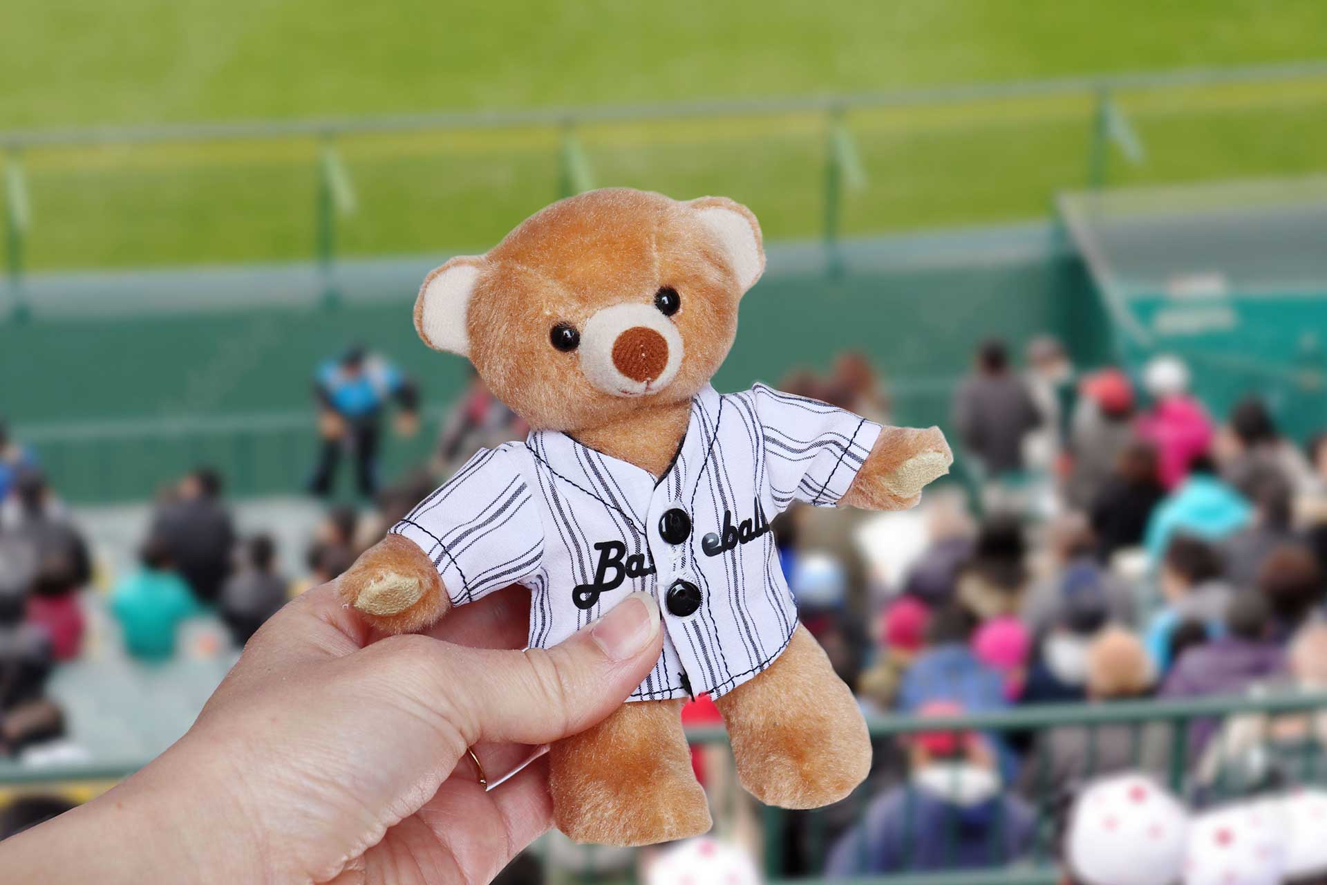 野球ファン必見！父の日ギフトや卒部記念品としてもおすすめな、新商品『野球ベア』が今だけ10％OFFのサブ画像2