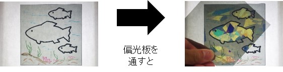 【アトレ川崎】6/28（金）よりイベント盛りだくさんなSUMMER CARNIVALがスタート！のサブ画像12