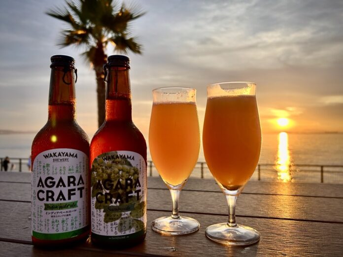 りんくうアウトレットで秋の潮風感じる特等席ビアガーデン「Rinku Seaside Beer Terrace」開催　9月14日（土）～16日（月・祝）のメイン画像