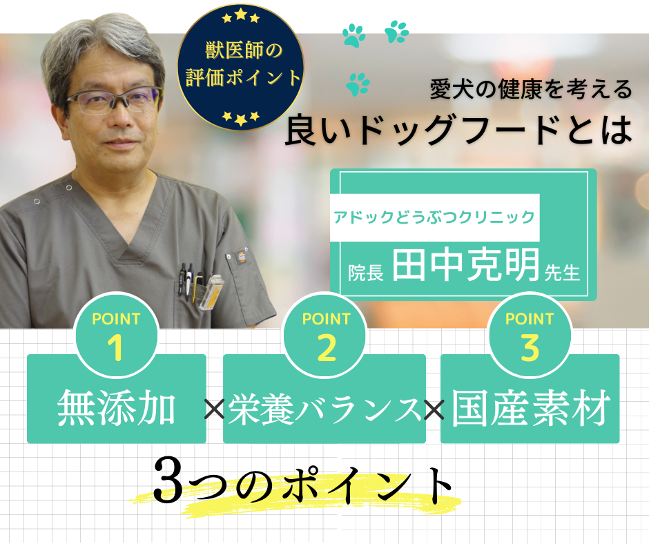 【うまかドッグフードCM放送記念キャンペーン】大好評につき期間延長！のサブ画像7