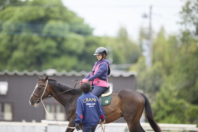 【そごう・西武】2026年福袋のメイン画像