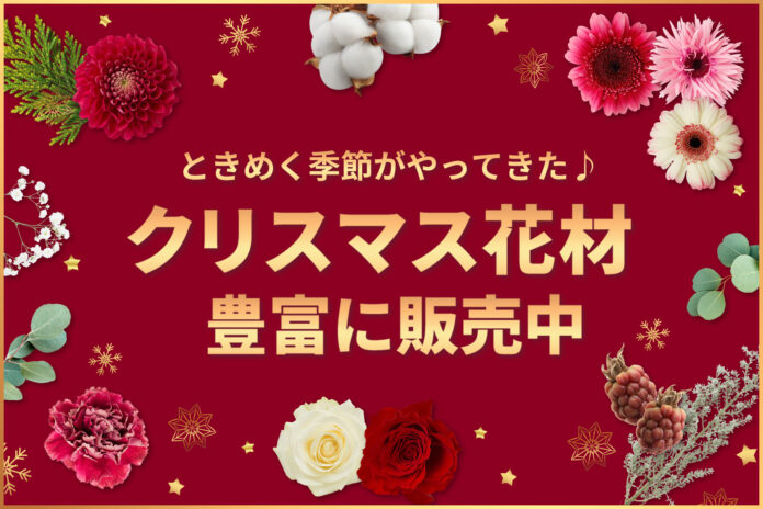 リース・スワッグ作りに欠かせない花材を厳選！クリスマス花材特集を11月10日～スタート｜花の卸通販フラワースミスマーケットのメイン画像