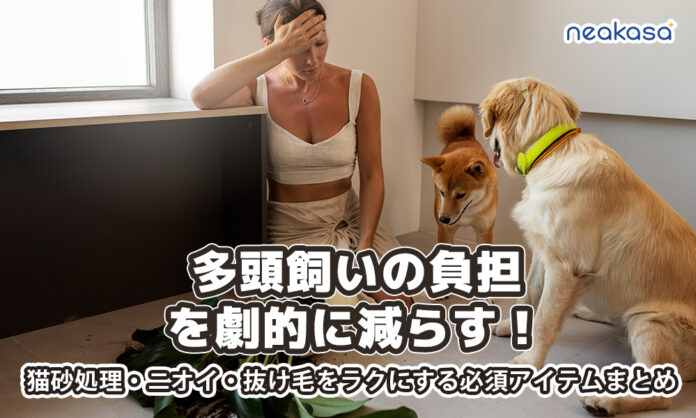 多頭飼い家庭必見！Neakasaの年に一度の特別セールが残り24時間に。人気ペット用品がセット購入で大幅割引のメイン画像