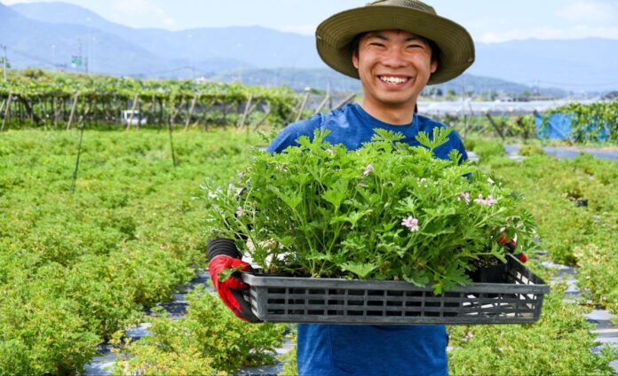 【新事実】ローズゼラニウムの保湿力はアロエの3.2倍！一般社団法人日本臨床試験協会（JACTA）の試験で判明。のメイン画像