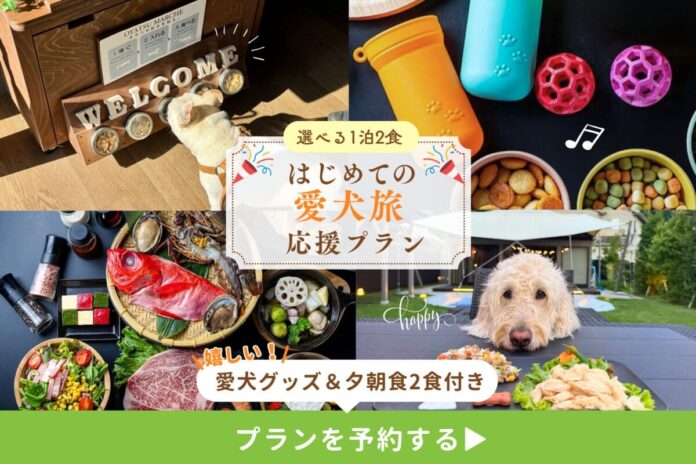 【はじめての愛犬旅を応援】手ぶらで安心、お散歩グッズ・愛犬ごはん付き特典プラン登場―天然温泉・サウナ・プール完備「ドッグヴィラ千葉南房総」のメイン画像