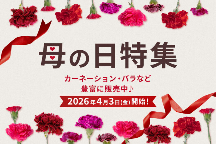 【母の日花材販売開始！】カーネーション・バラなど人気花材を小ロットから仕入れ可能｜花の卸通販フラワースミスマーケットのメイン画像