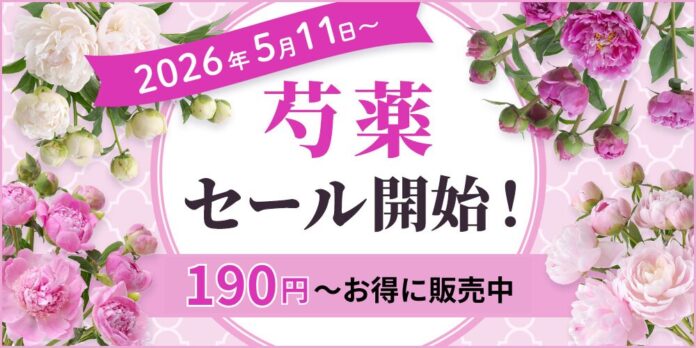 【期間限定】芍薬SALEを2026年5月11日～開催！｜花の卸通販フラワースミスマーケットのメイン画像