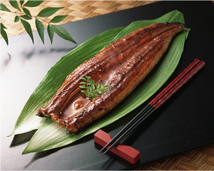 魚の北辰、各店舗にて「海の日お魚フェア」開催！7/19は土用の丑の日。「うなぎ」を含む複数商品を限定特別価格にて販売！のメイン画像
