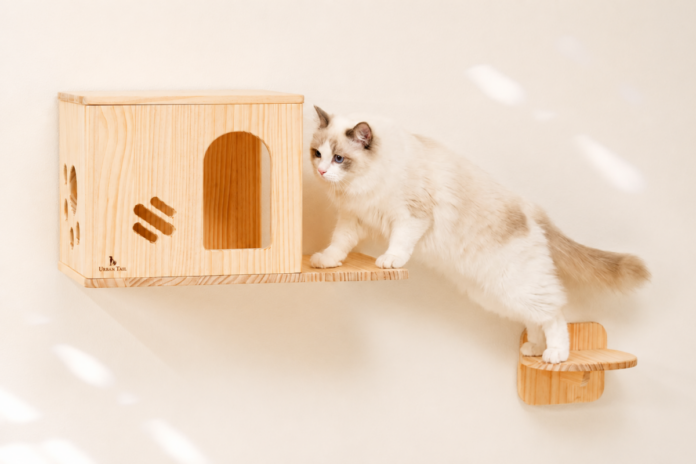 8月8日「世界猫の日」限定！穴あけ不要にゃんウォールやハンモックなど、人気猫用品が24時間限定12％OFFクーポンでお得にのメイン画像