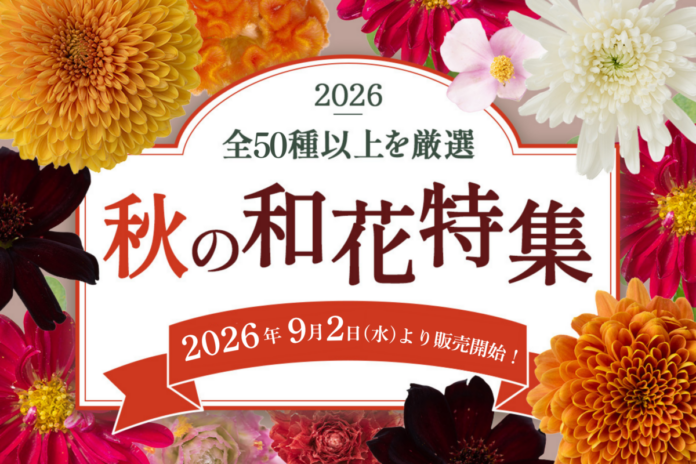 秋の和花が9月2日～販売開始！メインからサブまで全50種以上｜花の卸通販フラワースミスマーケットのメイン画像